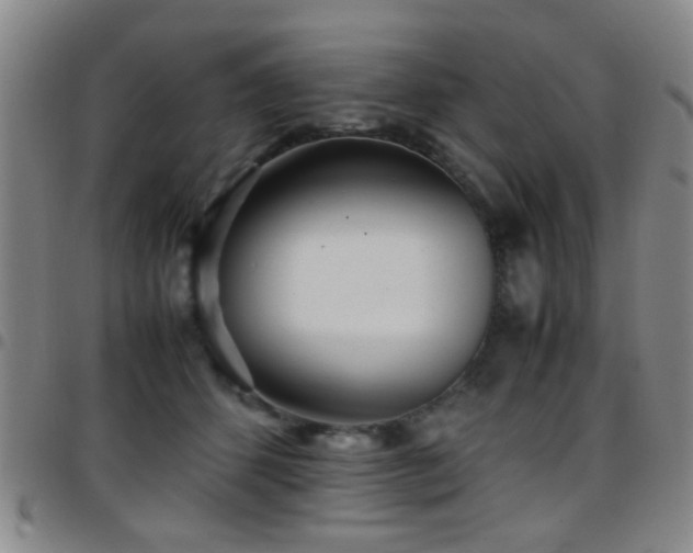 X0000097900512200803141357