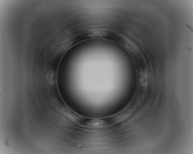 X0000097900514200803141357