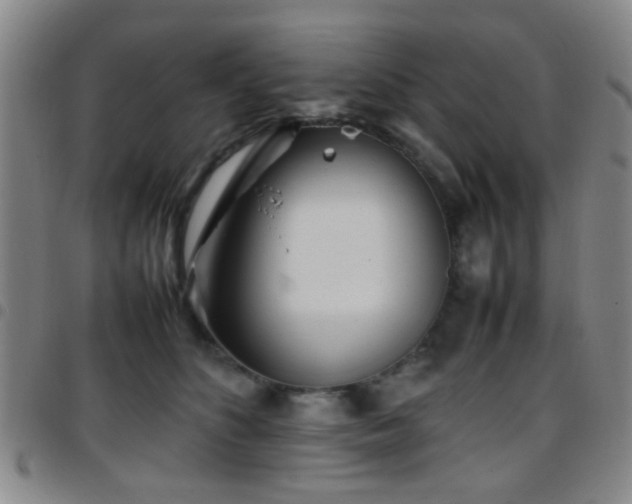 X0000097900516200803141357