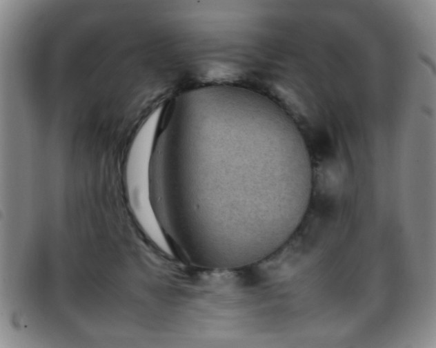 X0000097900517200803141357