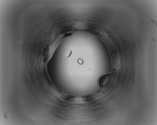 X0000097900518200803141357