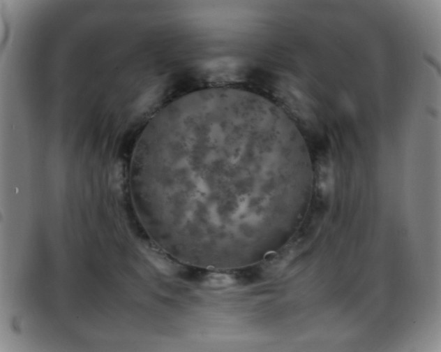 X0000097900519200803141357