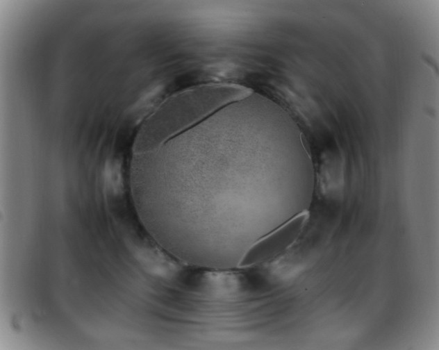 X0000097900520200803141357