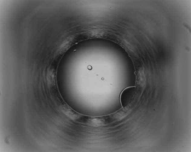 X0000097900522200803141357