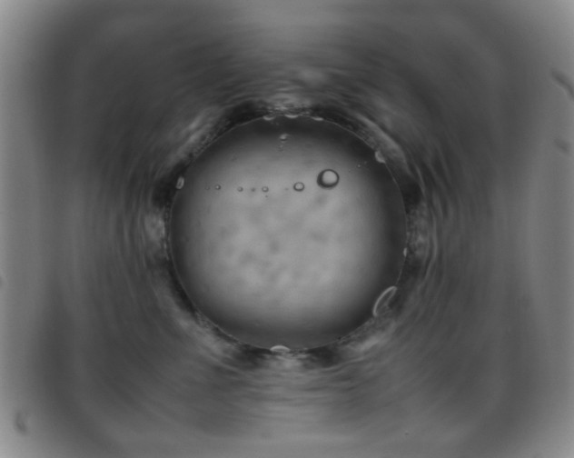 X0000097900523200803141357