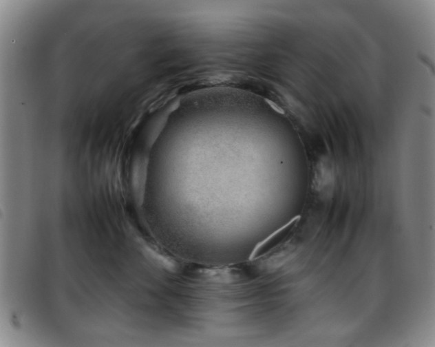 X0000097900524200803141357