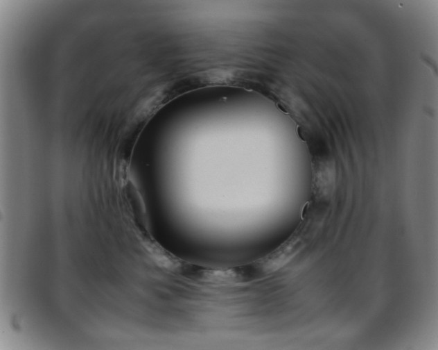 X0000097900525200803141357