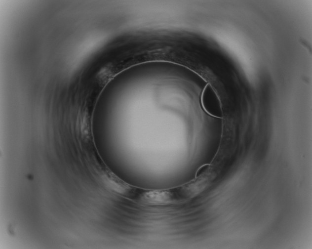 X0000097900526200803141357