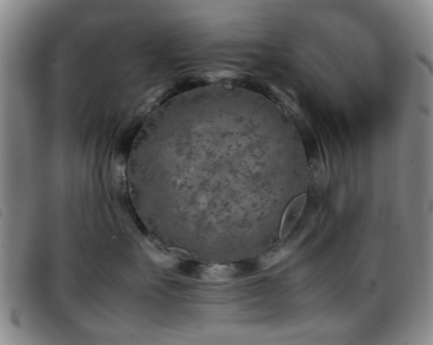 X0000097900527200803141357