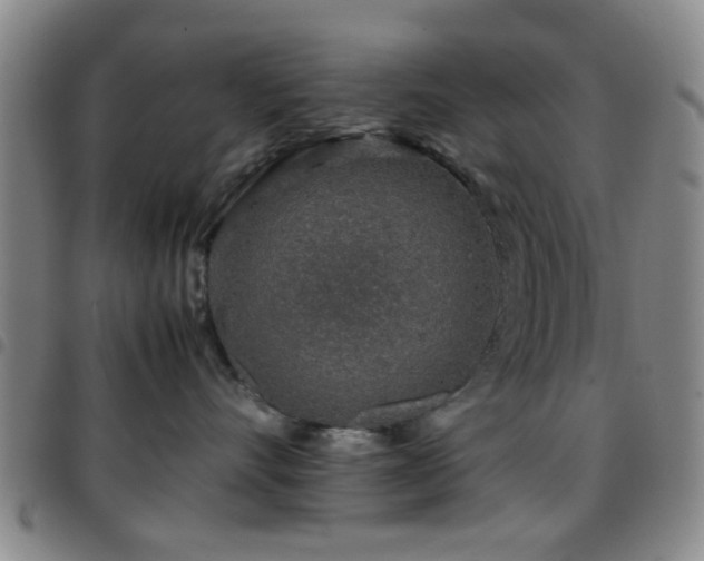 X0000097900528200803141357