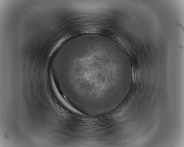 X0000097900531200803141356