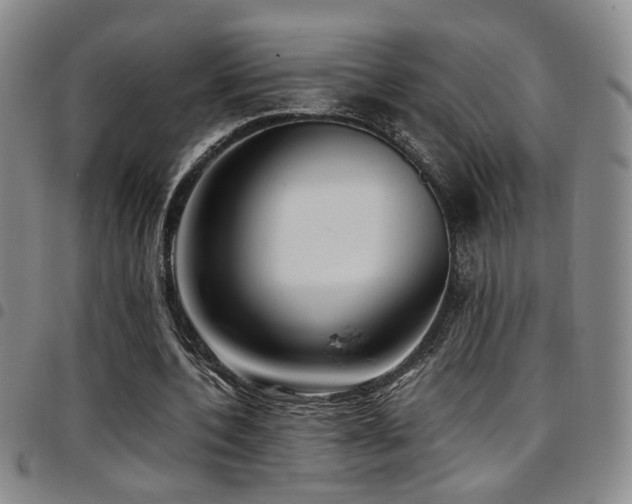 X0000097900532200803141356