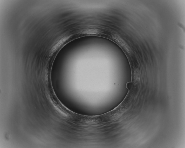X0000097900533200803141356