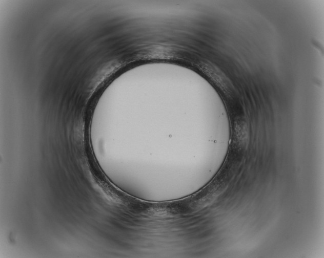 X0000097900534200803141356