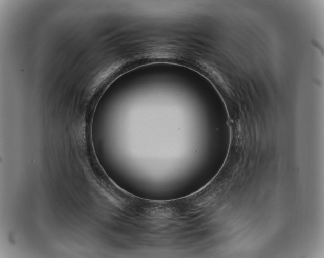 X0000097900535200803141356