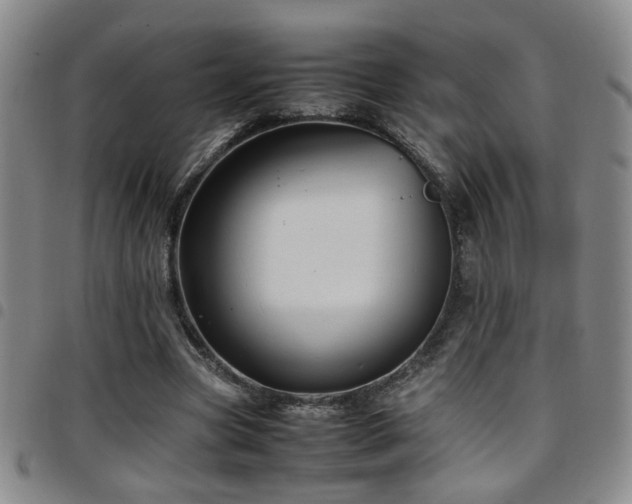 X0000097900537200803141357