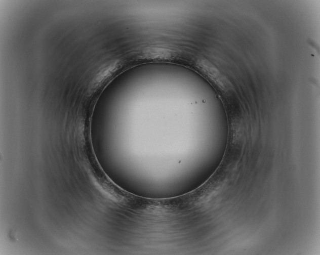 X0000097900538200803141357