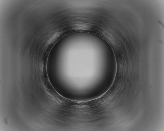 X0000097900539200803141357