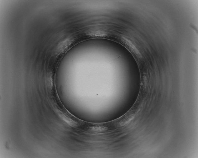 X0000097900541200803141357