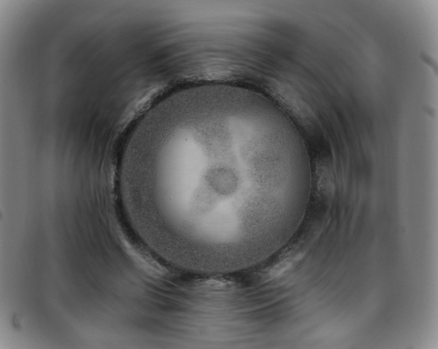 X0000097900542200803141357