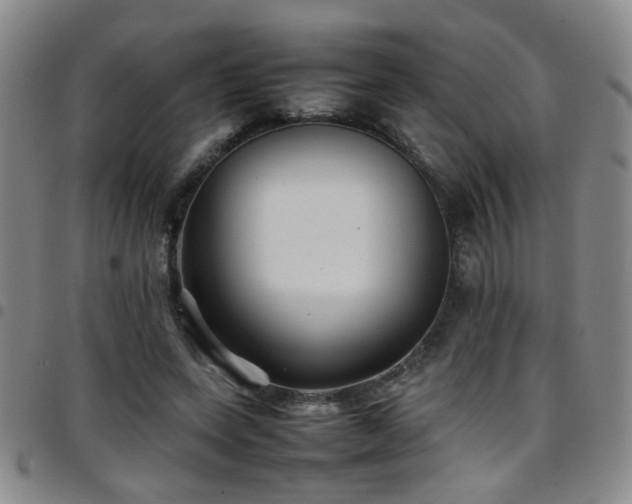 X0000097900543200803141357