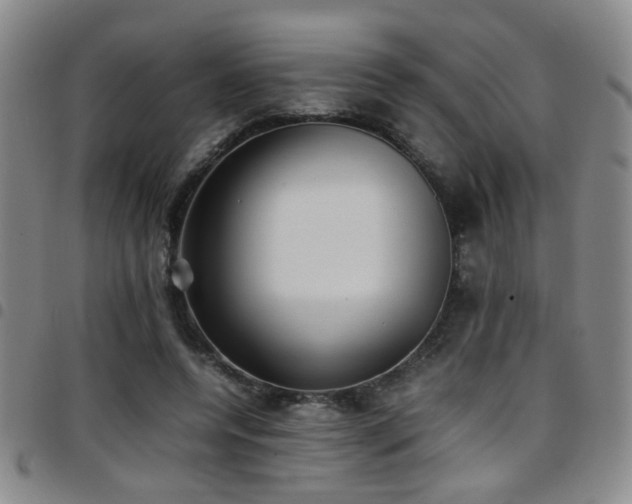 X0000097900544200803141357