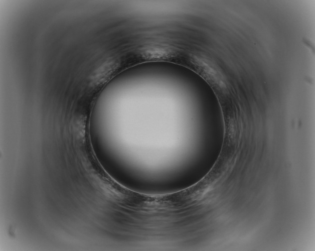 X0000097900545200803141357