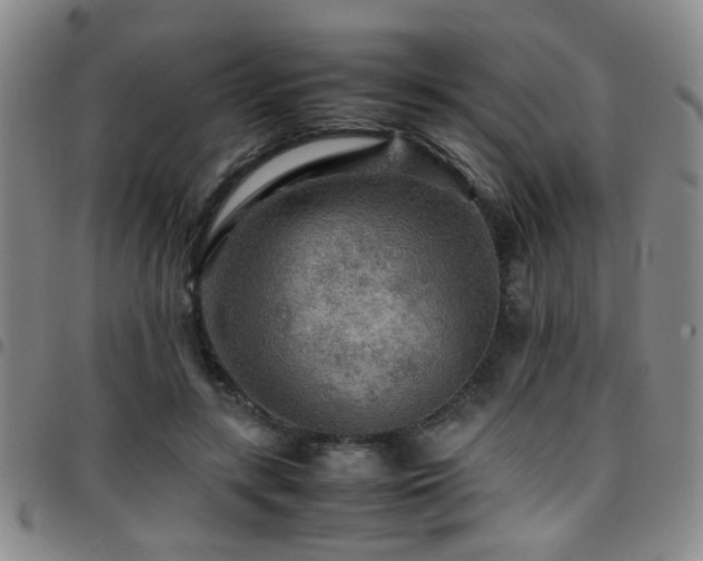 X0000097900547200803141357