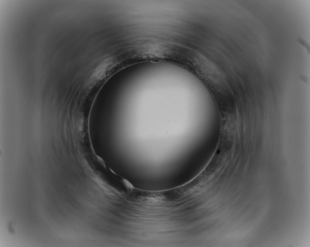 X0000097900548200803141357