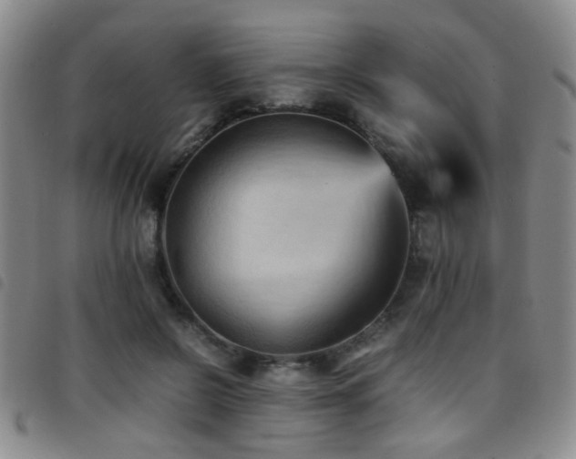 X0000097900550200803141357