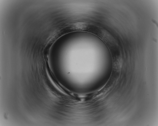 X0000097900552200803141357