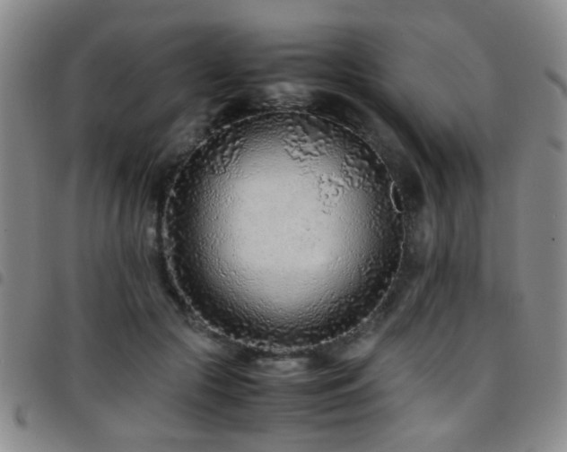 X0000097900553200803141357