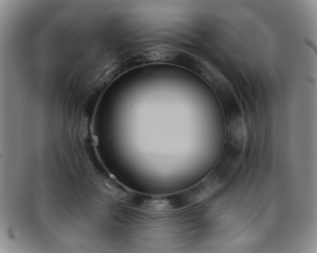 X0000097900554200803141357