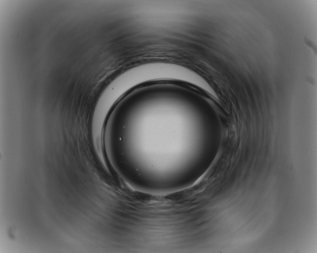 X0000097900556200803141357