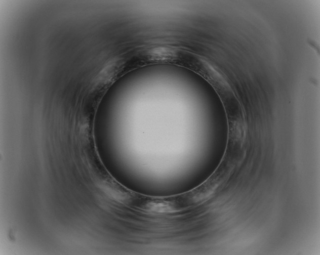 X0000097900557200803141357