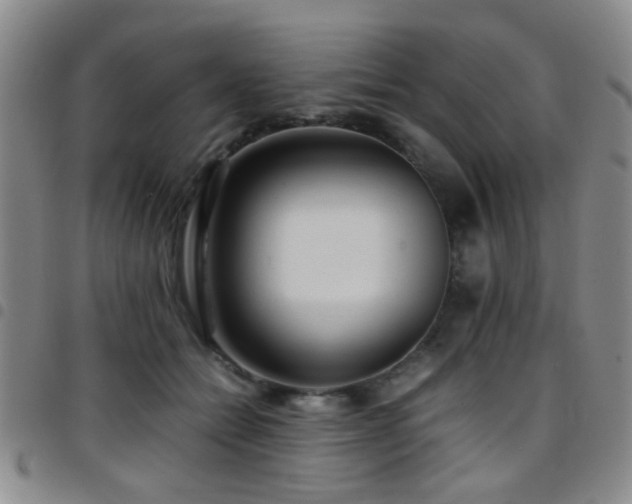 X0000097900558200803141357