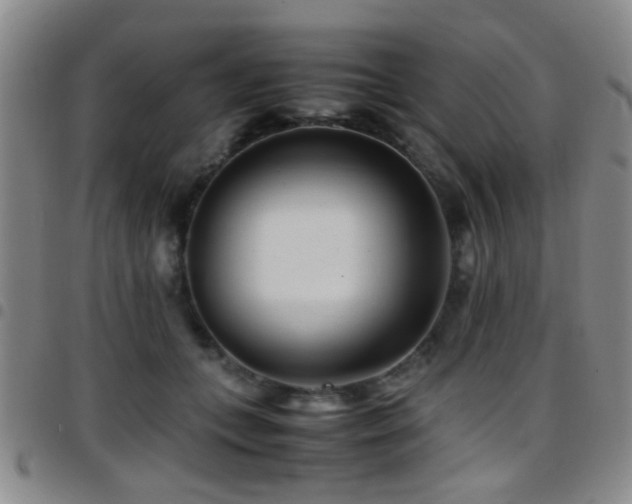 X0000097900559200803141357