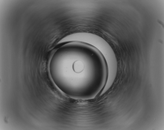 X0000097900560200803141357