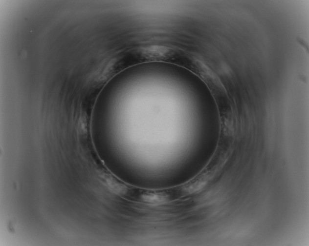 X0000097900561200803141357