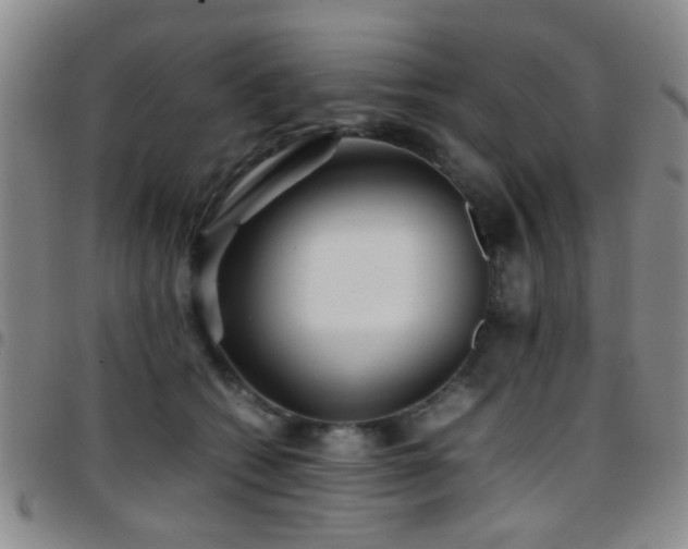 X0000097900562200803141357