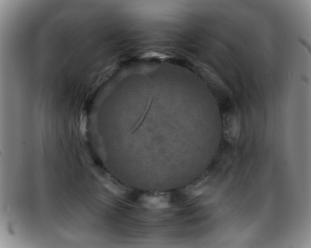 X0000097900563200803141357