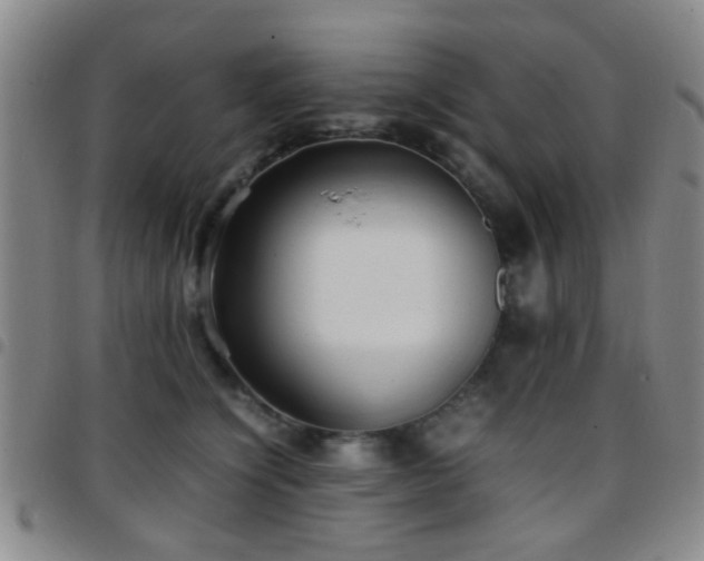 X0000097900564200803141357