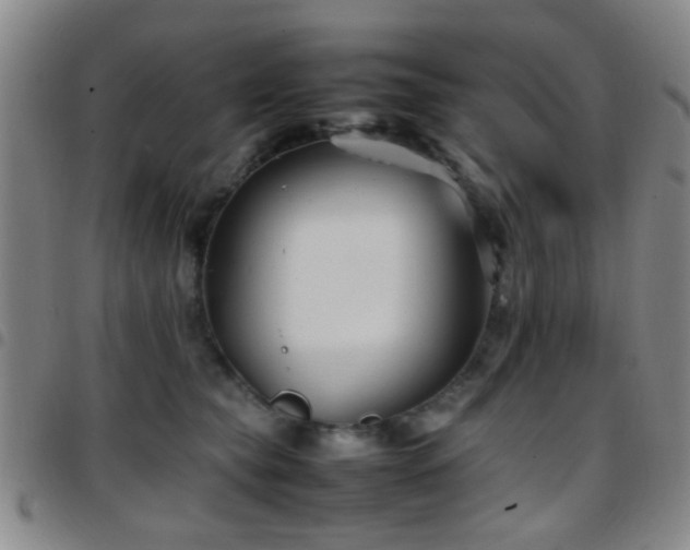 X0000097900565200803141357