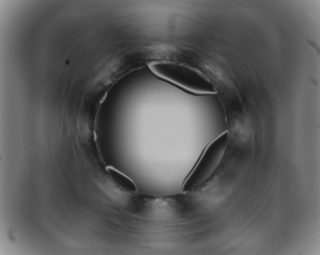 X0000097900566200803141357