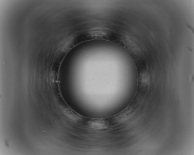 X0000097900567200803141357