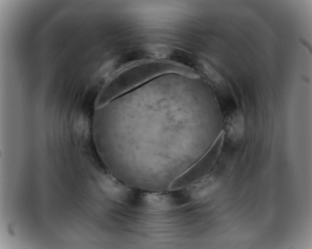 X0000097900568200803141357