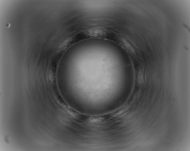 X0000097900569200803141357