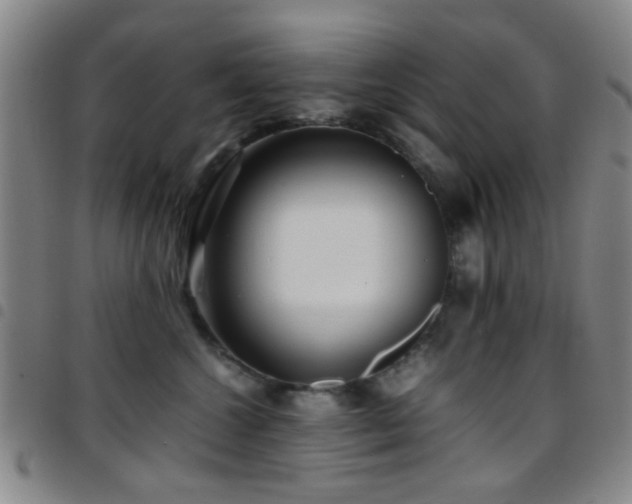 X0000097900572200803141357