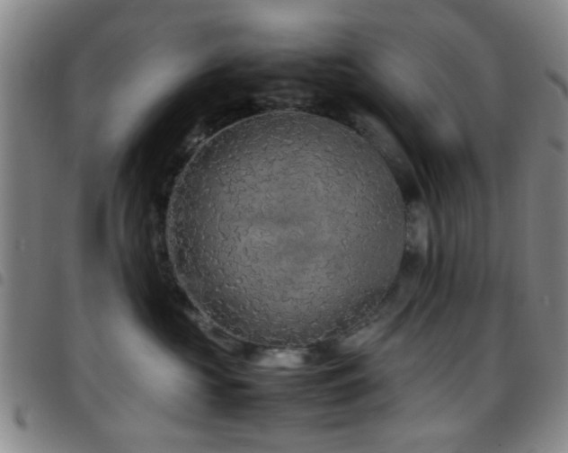 X0000097900573200803141357