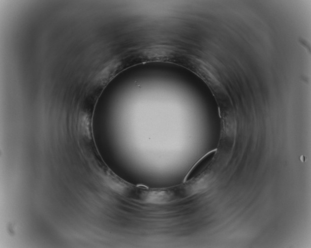 X0000097900575200803141357